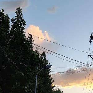 91在线无码精品黑桃动漫
